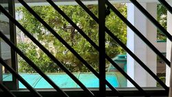 Blk 134 Petir Road (Bukit Panjang), HDB Executive #451848151